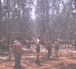 103 Sig Sqn
