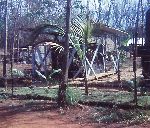 103 Sig Sqn