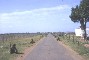 ARVN deployed along road