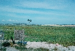 103 Sig Sqn