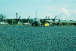 103 Sig Sqn