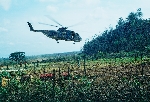 103 Sig Sqn