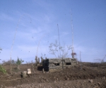 103 Sig Sqn