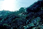 110 Sig Sqn