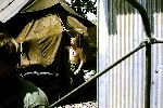 110 Sig Sqn
