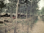 110 Sig Sqn