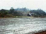 145 Sig Sqn