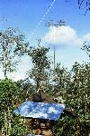 145 Sig Sqn