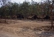 104 AccomTents at Nui Dat - Dust now, Mud later!
