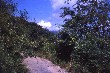 Road up to VC Hill, Vung Tau