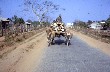 Local Transport