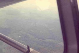Window view