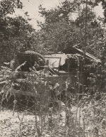 709 Sig Tp and 527 Sig Tp