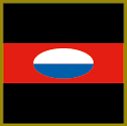 3rd Combat Signal Regiment Colour Patch